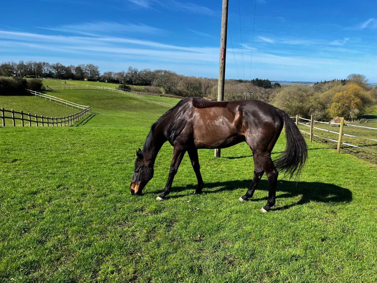 Byre - Farm Cottage On 9 Acre Equestrian Small Holding Salisbury Exterior foto